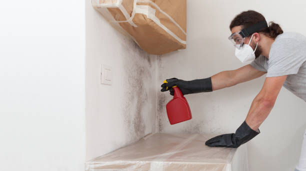 Professional Basement Mold Remediation technician working in Yale, VA