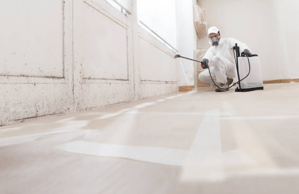 24/7 Emergency Basement Mold Remediation experts in Yale, VA